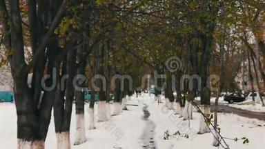 躺在雪上的小巷，是春天里绿树成荫的罕见雪现象